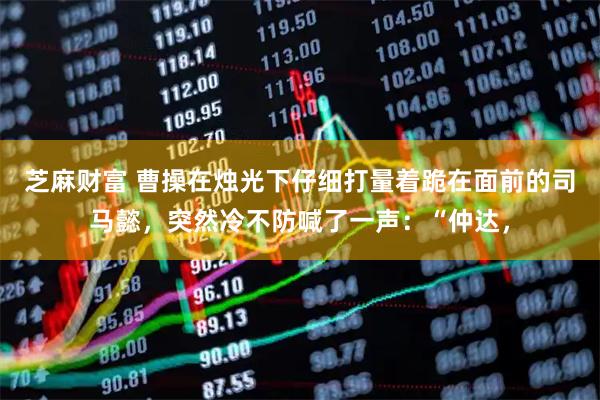 芝麻财富 曹操在烛光下仔细打量着跪在面前的司马懿，突然冷不防喊了一声：“仲达，