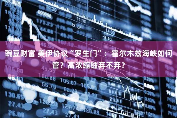 豌豆财富 美伊协议“罗生门”：霍尔木兹海峡如何管？高浓缩铀弃不弃？